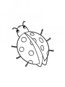 Ladybug coloring page - picture 21