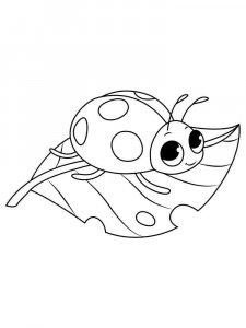 Ladybug coloring page - picture 28