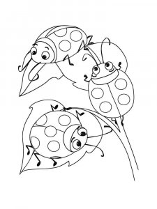 Ladybug coloring page - picture 30