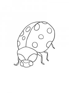 Ladybug coloring page - picture 31