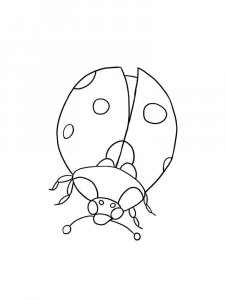 Ladybug coloring page - picture 34