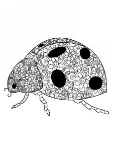Ladybug coloring page - picture 35