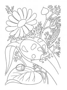 Ladybug coloring page - picture 41
