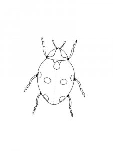 Ladybug coloring page - picture 43