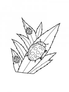 Ladybug coloring page - picture 44