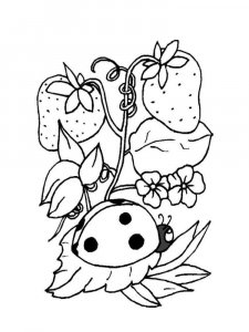 Ladybug coloring page - picture 7