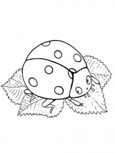 Ladybug coloring page - picture 8