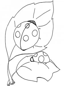 Ladybug coloring page - picture 9