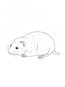 Lemming Coloring Pages 3