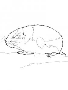 Lemming Coloring Pages 4