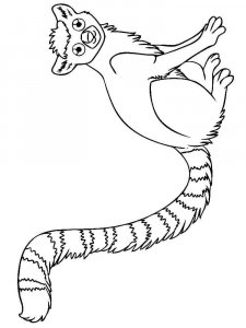 Lemur coloring page - picture 13