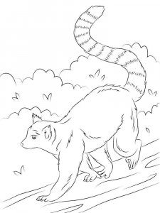 Lemur coloring page - picture 8