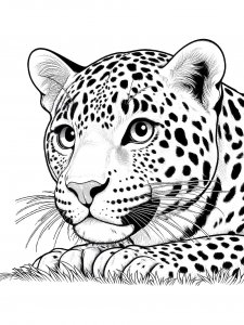 Leopard Coloring Pages 36