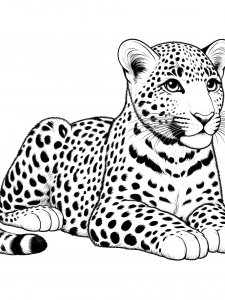 Leopard Coloring Pages 37