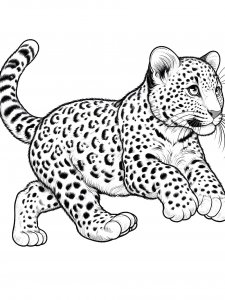 Leopard Coloring Pages 39