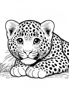 Leopard Coloring Pages 40