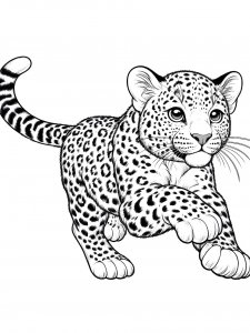 Leopard Coloring Pages 43