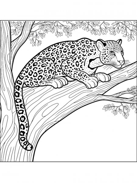 Leopard coloring pages - Free printable