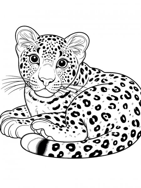 Leopard coloring pages - Free printable