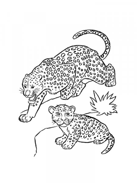 Leopard coloring pages - Free printable