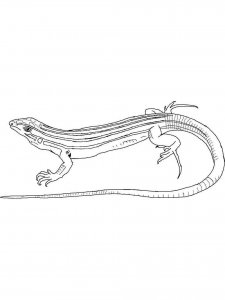 Lizard coloring page - picture 10