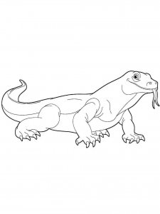 Lizard coloring page - picture 14