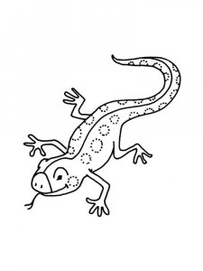 Lizard coloring page - picture 15