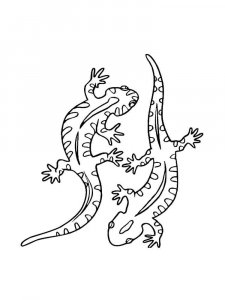 Lizard coloring page - picture 17