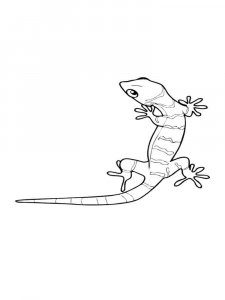 Lizard coloring page - picture 20