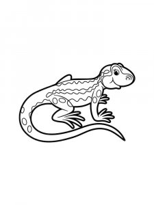 Lizard coloring page - picture 21