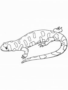 Lizard coloring page - picture 25