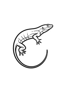 Lizard Coloring Pages 30