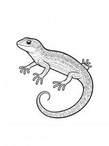 Lizard Coloring Pages 33