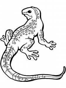 Lizard coloring page - picture 4