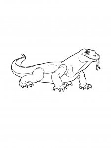 Lizard Coloring Pages 44