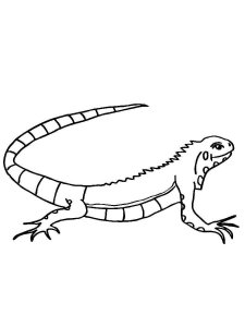 Lizard coloring page - picture 8