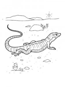 Lizard coloring page - picture 9