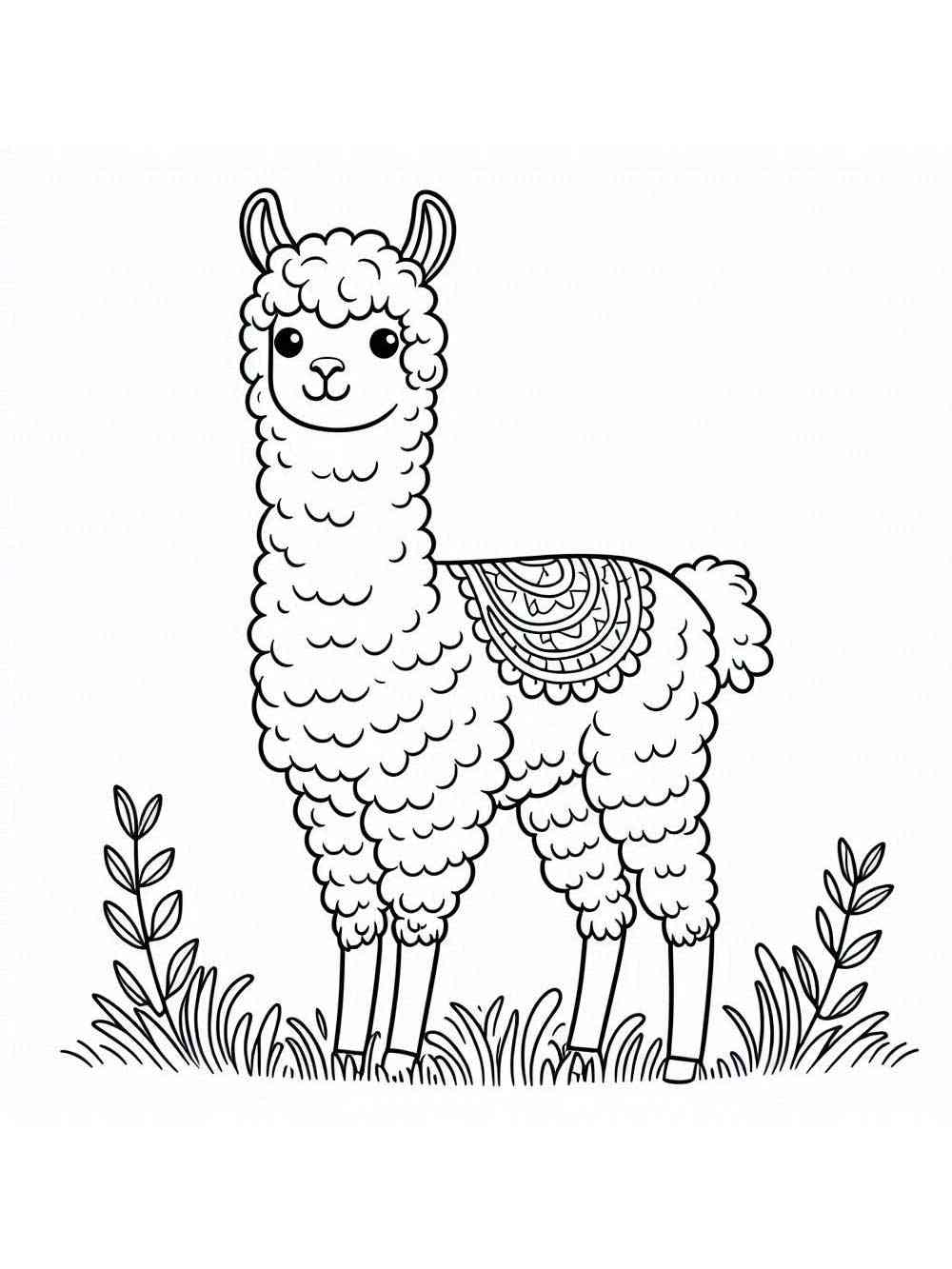 Llama coloring pages