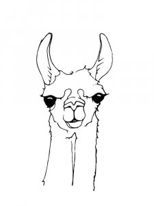 Llama coloring page - picture 14