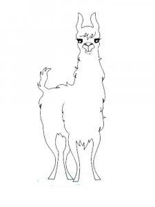 Llama coloring page - picture 19