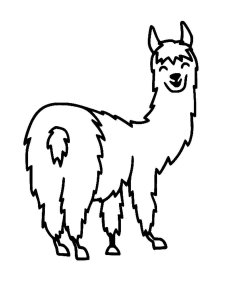 Llama coloring page - picture 22