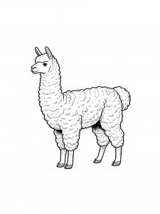 Llama Coloring Pages 34