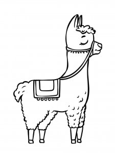 Llama coloring page - picture 5