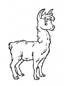 Llama coloring page - picture 6