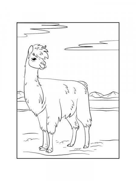 Llama coloring pages