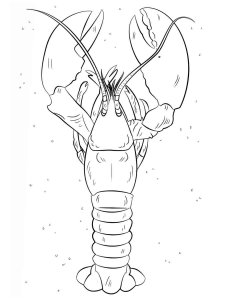Lobster coloring page - picture 1
