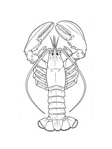 Lobster coloring page - picture 10