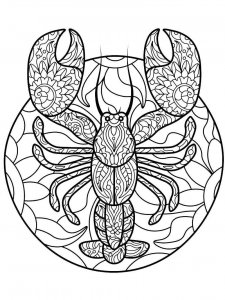 Lobster coloring page - picture 12
