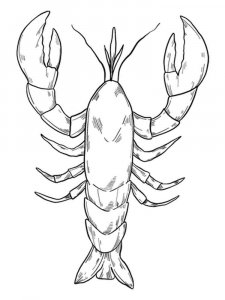 Lobster coloring page - picture 13