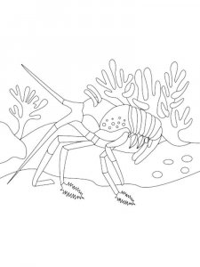 Lobster coloring page - picture 14